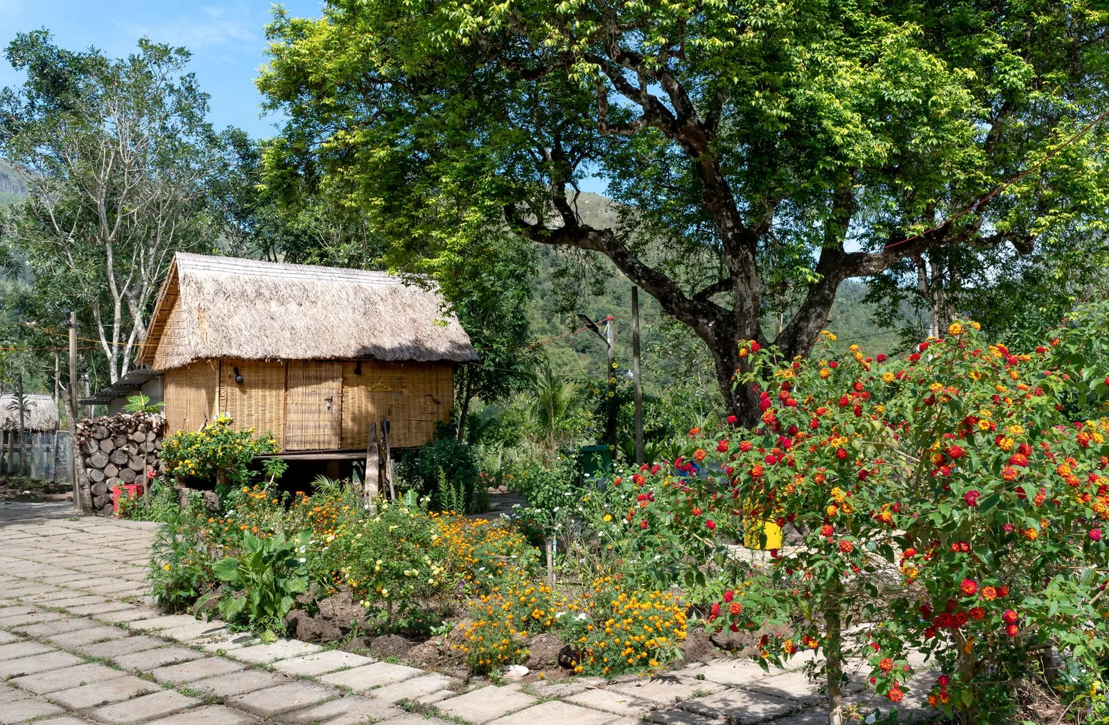 Không gian homestay gần đầm Vân Long thanh bình