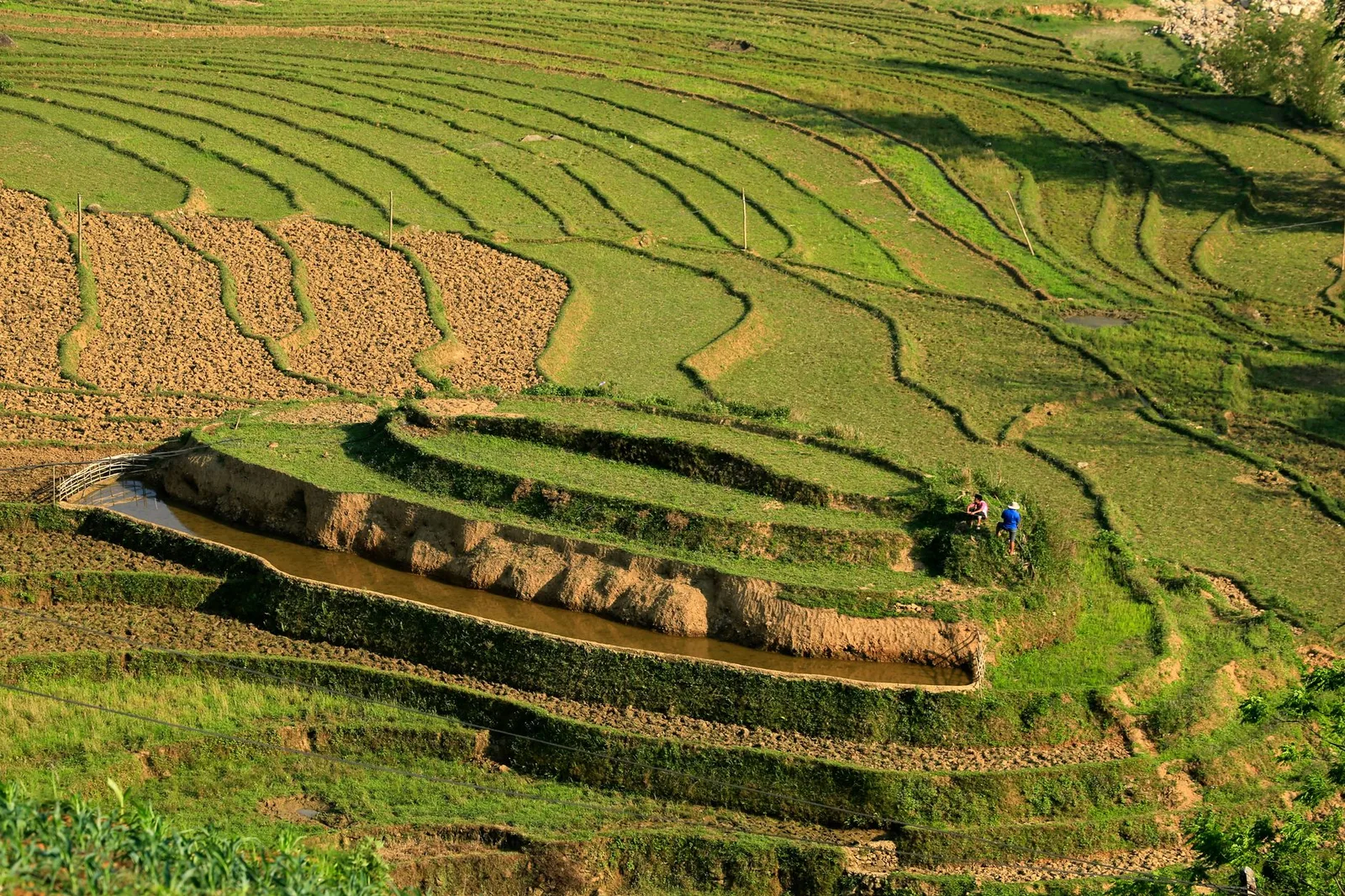 Nhóm bạn trẻ châu Á trekking trên đường mòn ven ruộng bậc thang
