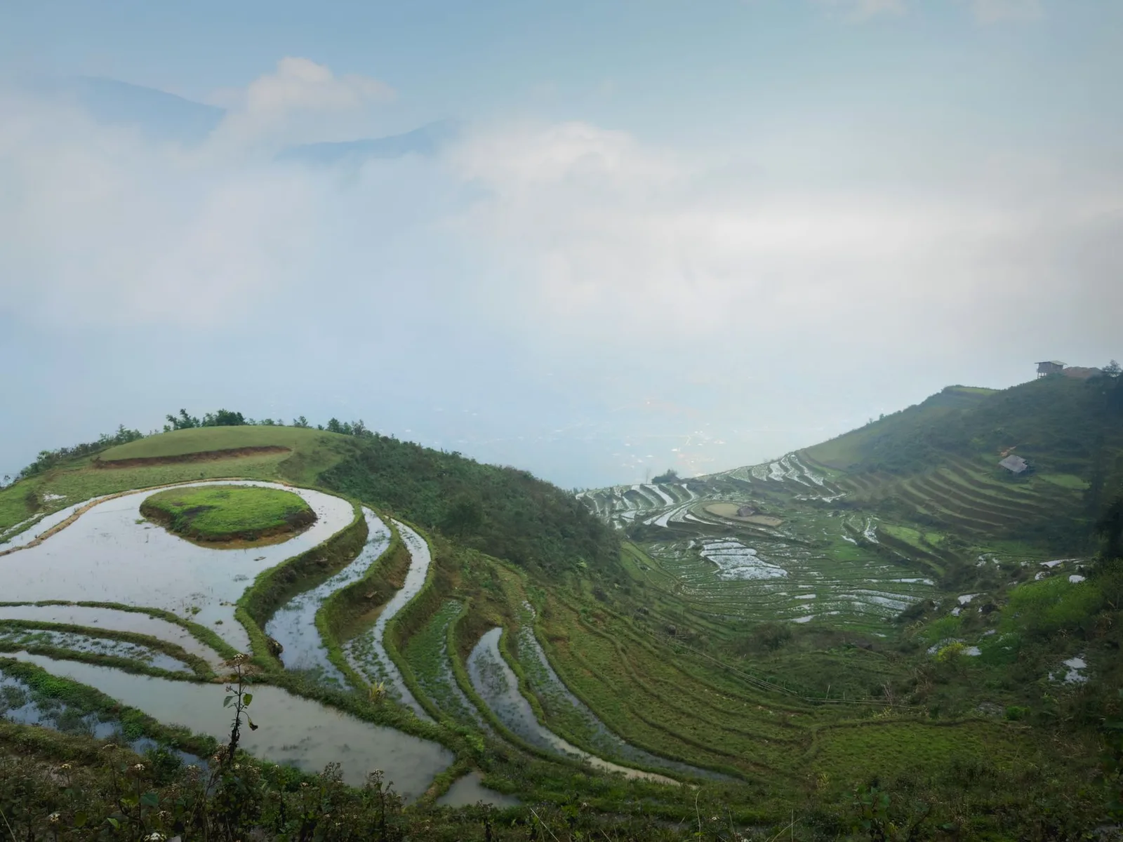 Đường mòn núi Sa Pa trong sương sớm