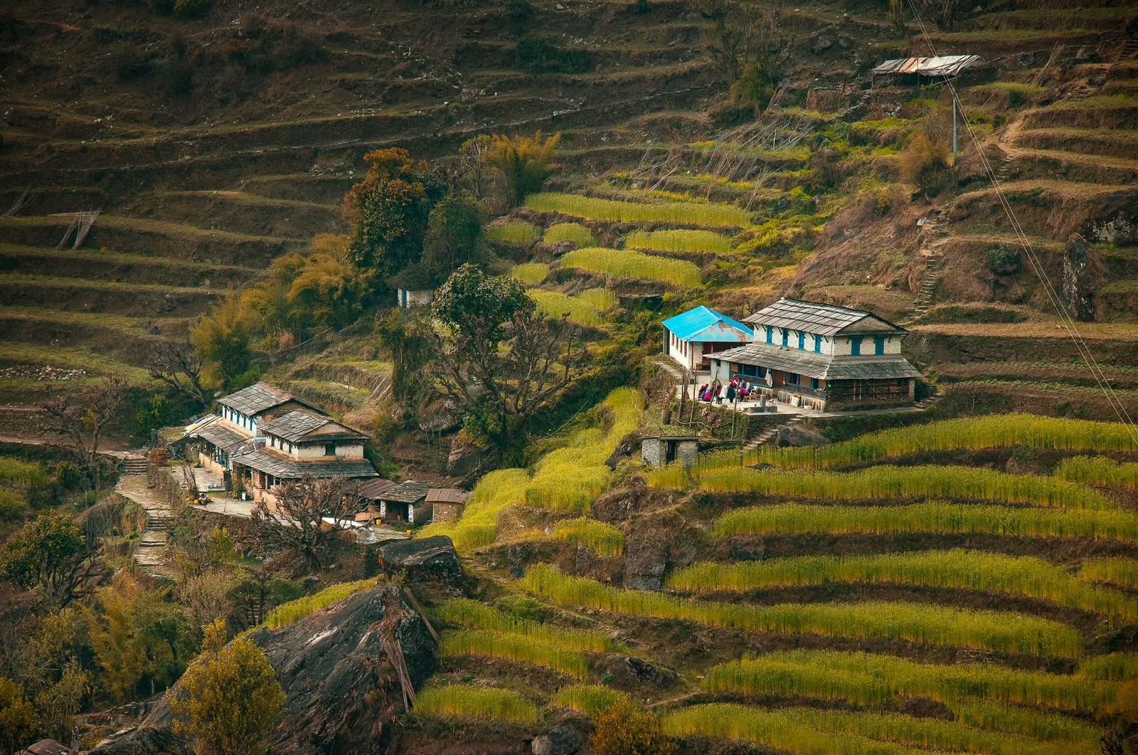 Homestay miền núi nhìn ra thung lũng rộng lớn