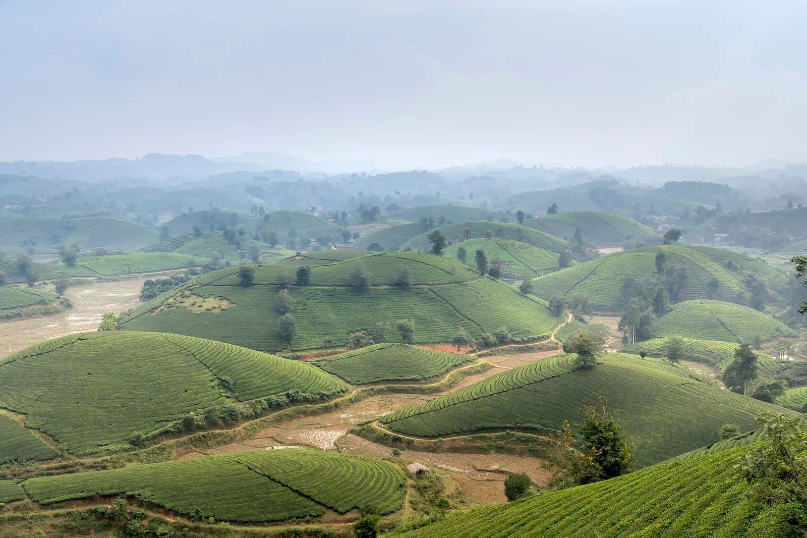 Nơi lưu trú miền núi gần những đồi chè xanh mướt