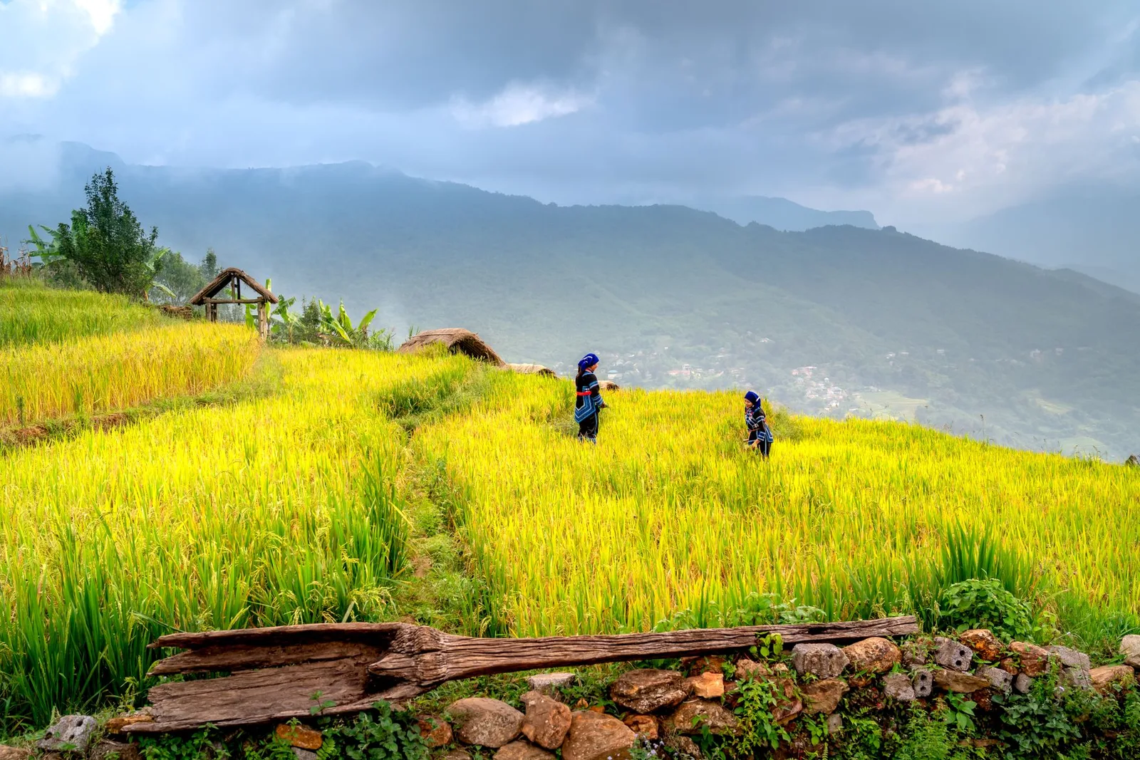 Nhóm bạn châu Á ngồi ngắm núi trên sân homestay