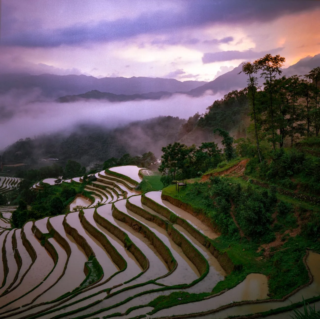 Ruộng bậc thang Hà Giang lúc hoàng hôn