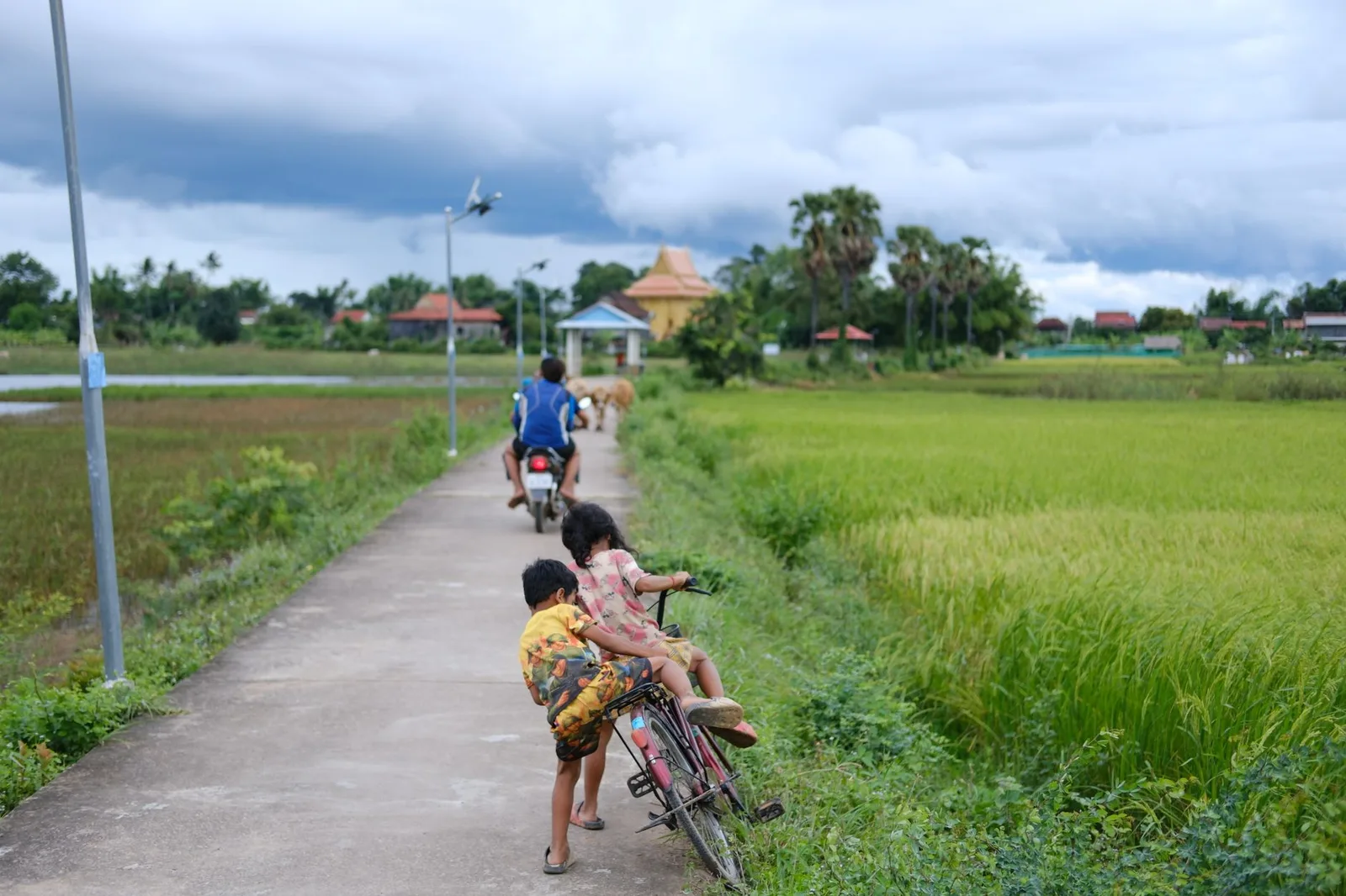 Xe đạp giữa những cánh đồng lúa ở Mai Châu